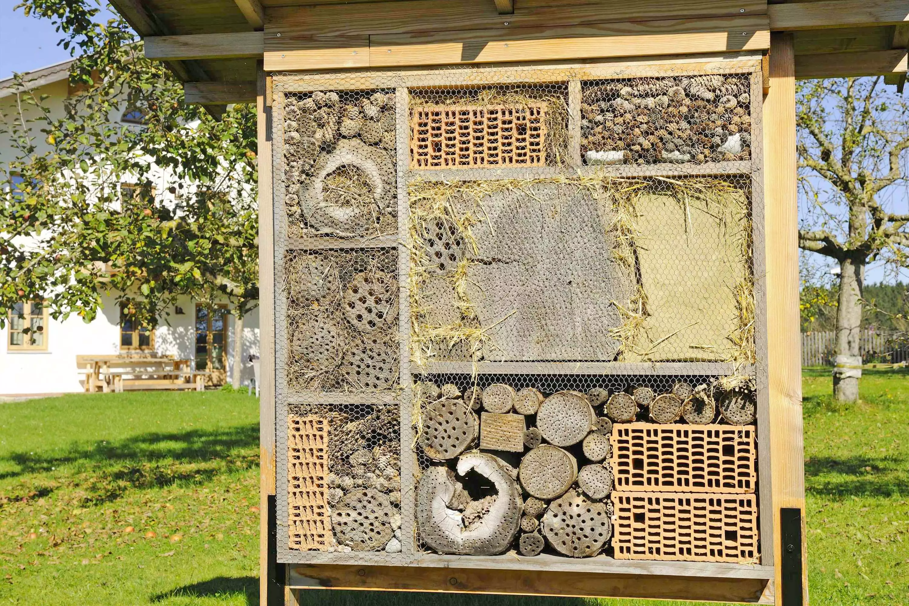 Spielspaß Spielplatz Sandkasten Schaukel Riesentrampolin Basteln Fuhrpark