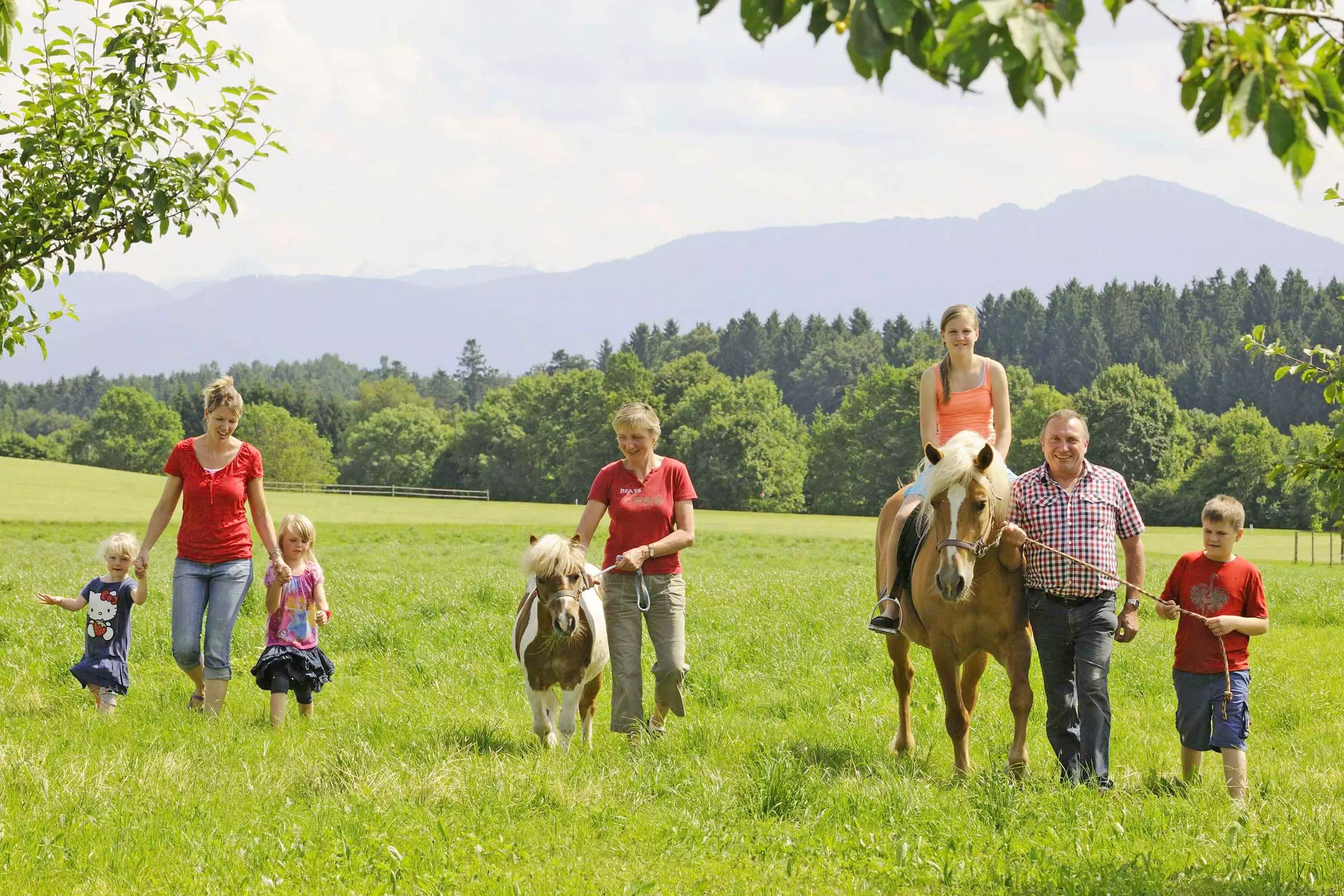 Bergblick 5 Sterne-Ferienwohnungen Chiemgauer Alpen Wandern