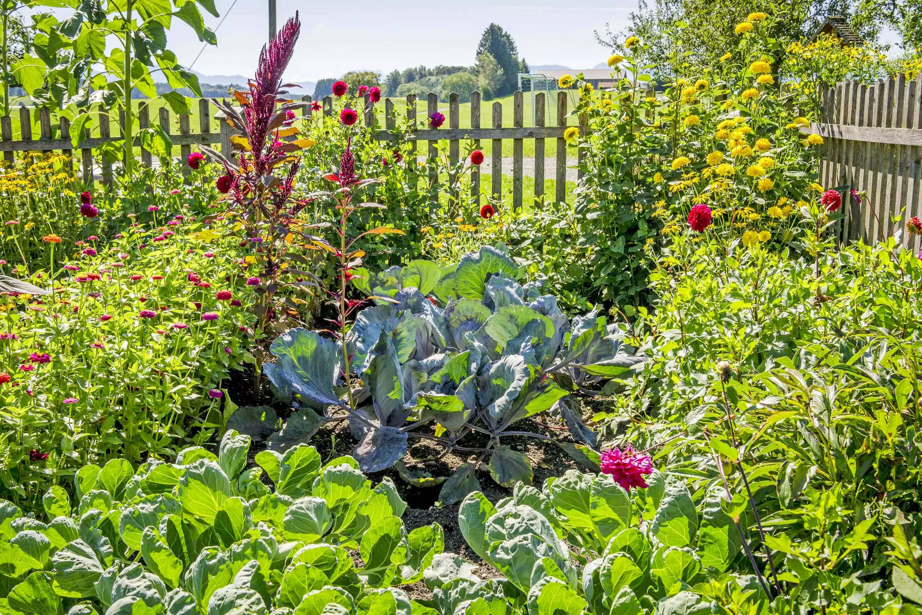 Kräuter Gemüse Naturerlebnis Blumen Bauernhofurlaub Landurlaub