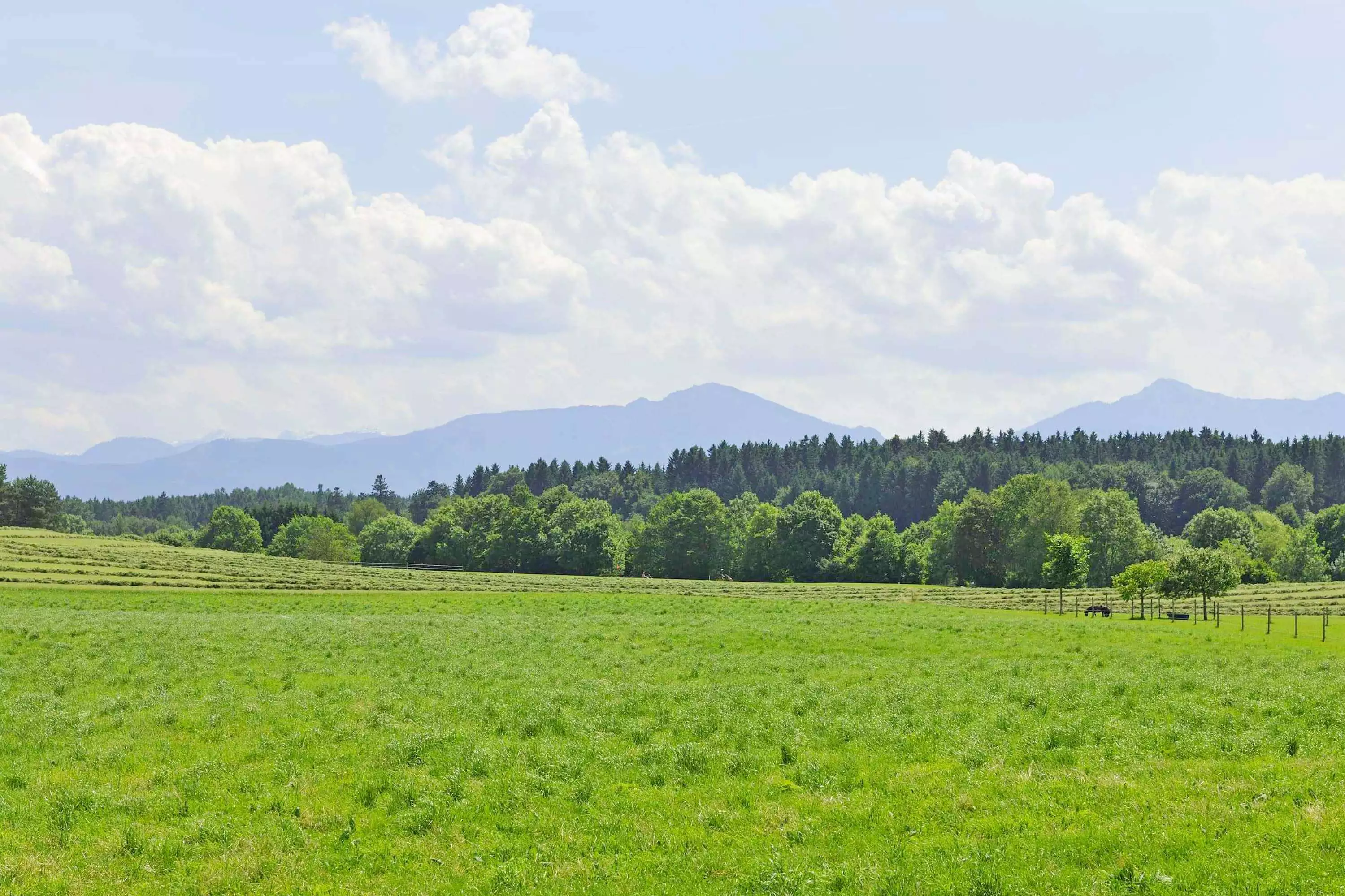 Chiemgauer Alpen Bergblick Natur ruhige Lage