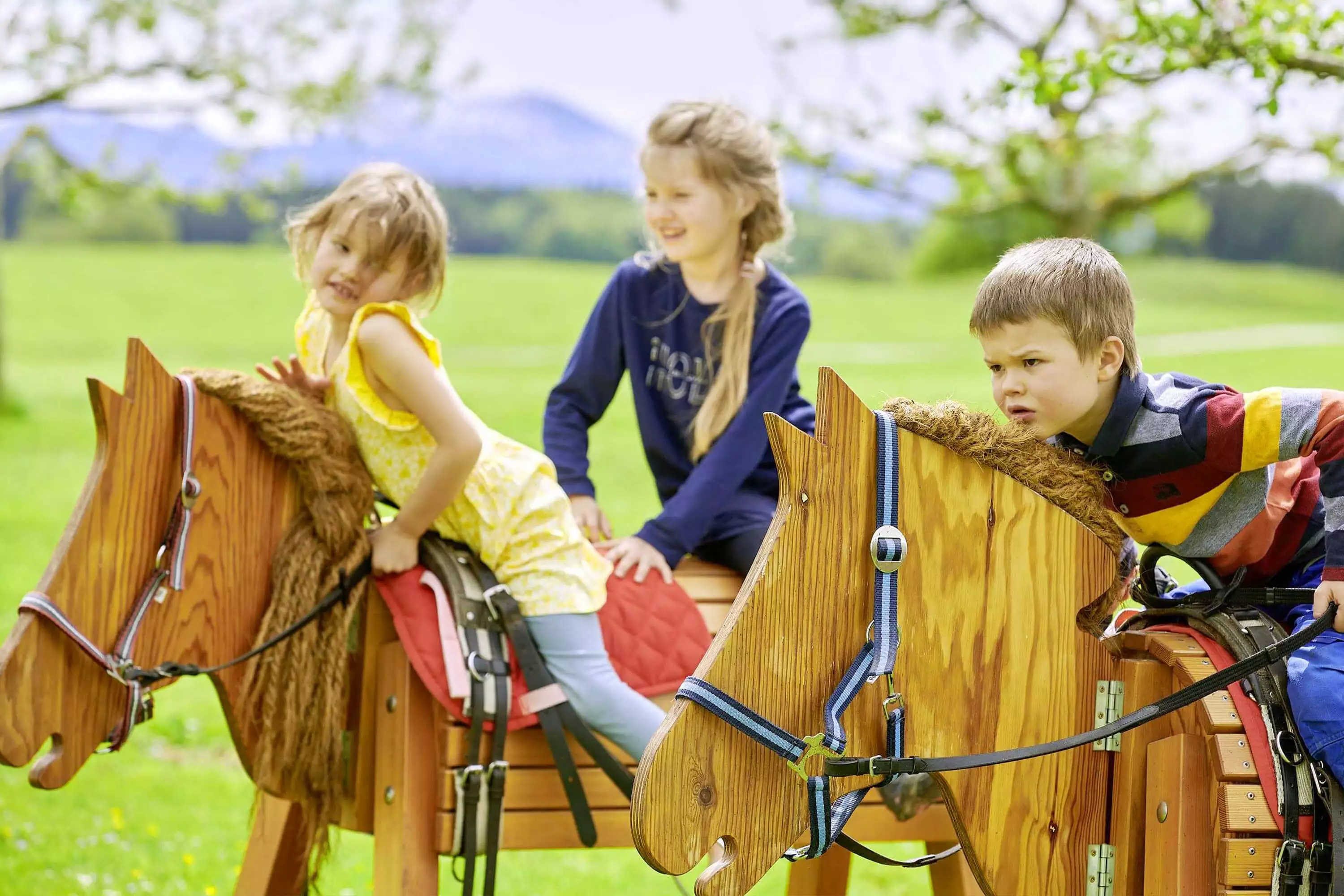 Kindererlebnis Tierfreundschaften Streicheltiere Stallarbeit