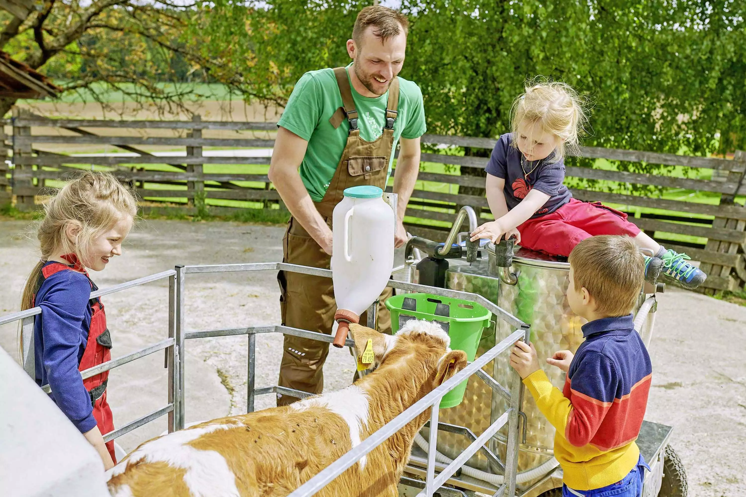 Basteln Bauen Stallarbeit Bambini-Stalldiplom