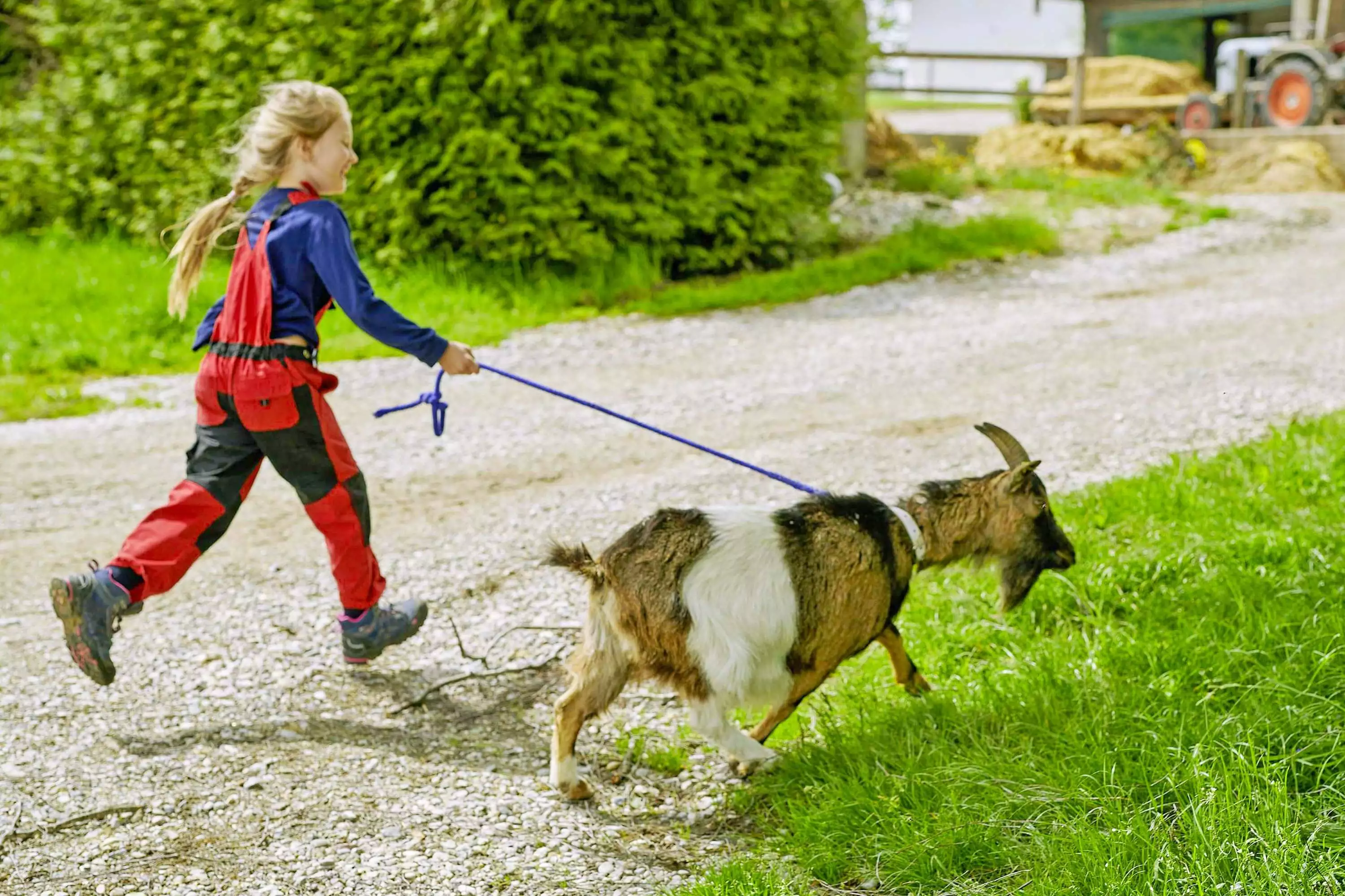 Lohner-Hof Bauernhofurlaub Echtes Landleben Chiemgau Grilling