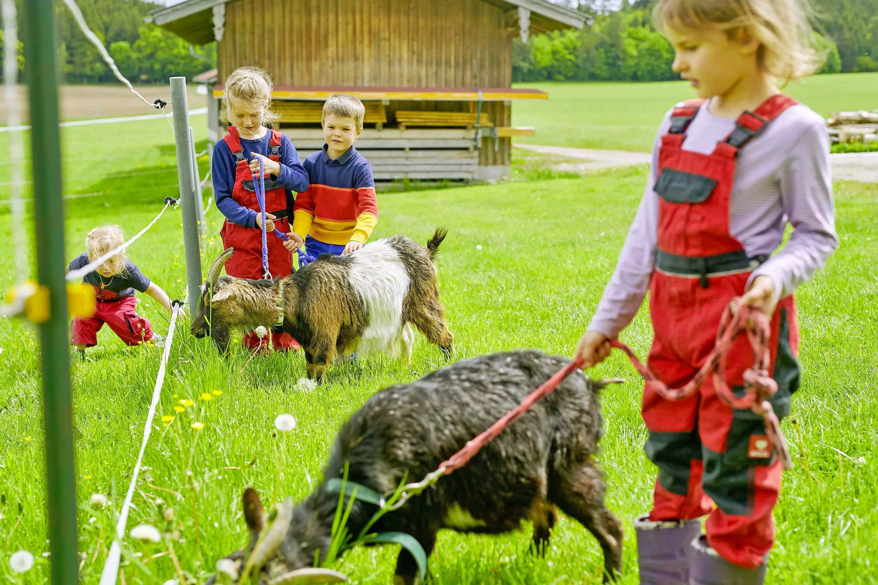 5-Sterne Ferienwohnungen Komfort liebevoll ausgestattet Lohner-Hof