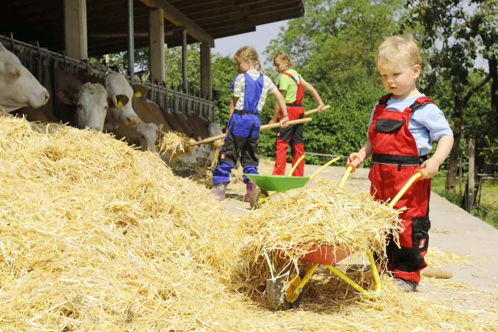 Lohner Hof- Familien Bauernhofurlaub am Chiemsee