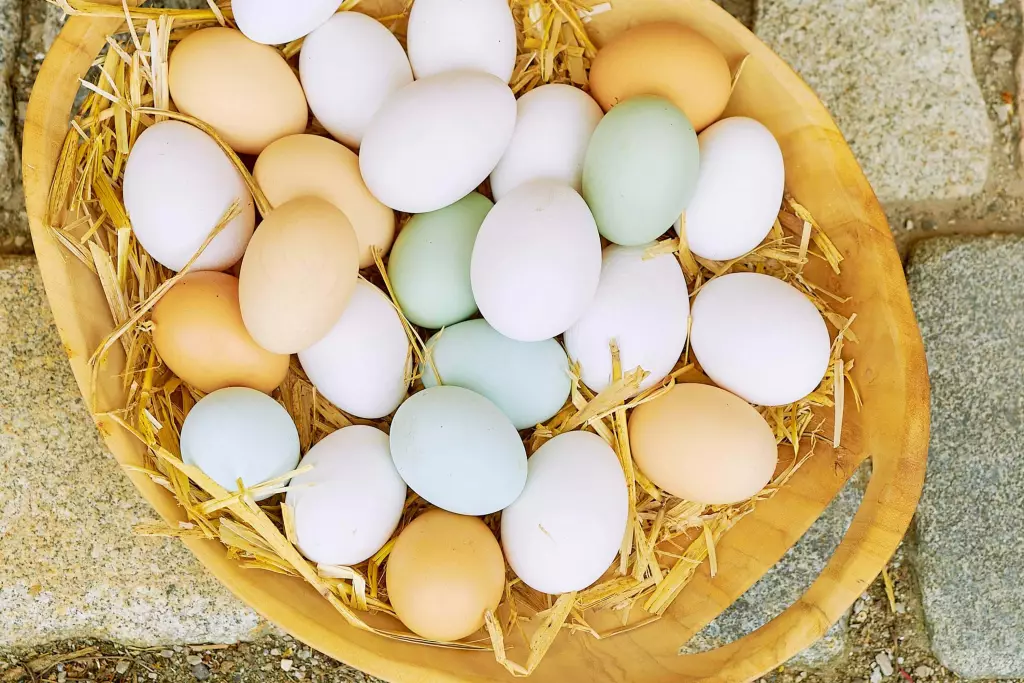 Lohner Hof- Familien Bauernhofurlaub am Chiemsee