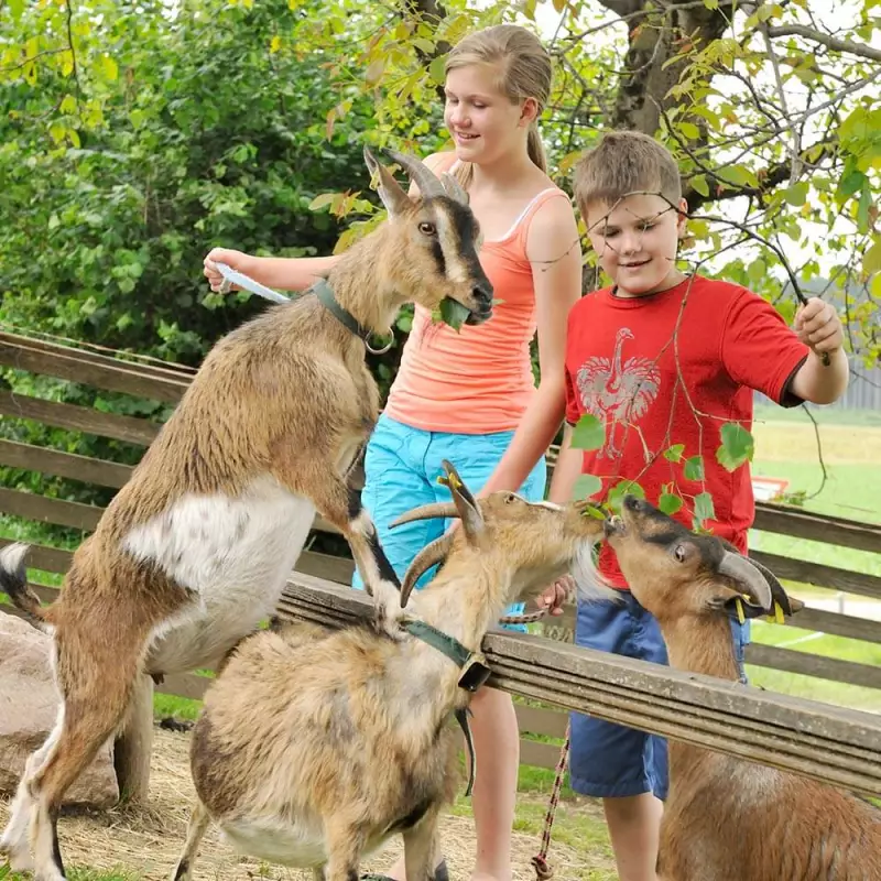 Tiererlebnisse Familienurlaub Bauernhofabenteuer Spaß im Freien
