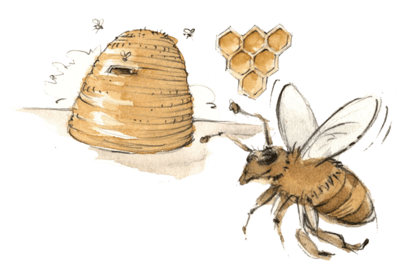 Bienenhonig Bienenkorb Imkern Insektenhotel